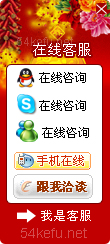 302-QQ、msn、贸易通、skype在线客服代码