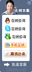 221-QQ、msn、贸易通、skype在线客服代码